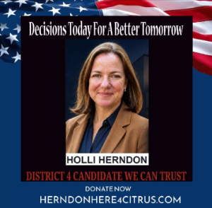 Holli Herndon